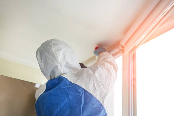 Forensic Mold Investigation in Deer Park, NY